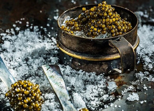 鲟龙科技赴港IPO：一碗鱼子酱，净利率比贵州茅台还高